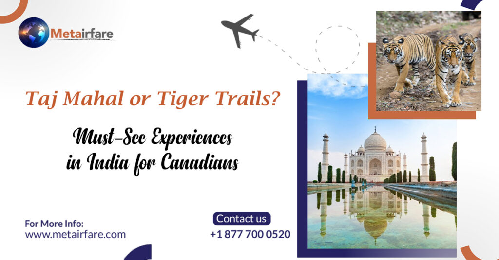 Taj Mahal or Tiger Trails? Must-See Experiences in India for Canadians | Metairfare