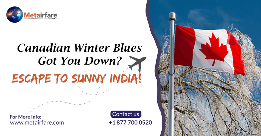Canadian Winter Blues Got You Down? Escape to Sunny India! | Metairfare